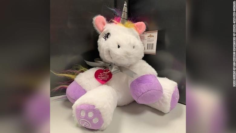 ¡Insólito! Niña de 6 años en Los Ángeles recibe licencia para tener un unicornio