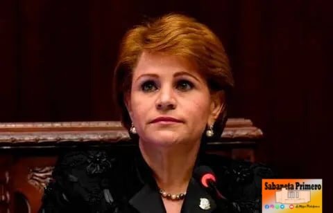 Lucía Medina podría aspirar senaduría San Juan por PLD