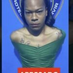 Le echan el guante a Ismael Balbuena 